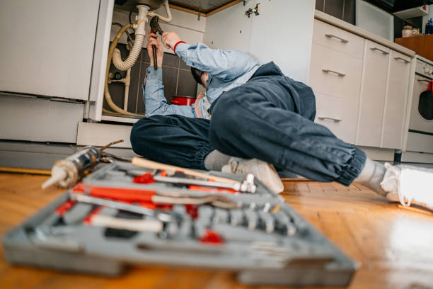 Best Toilet Repair Services  in Bagley, MN